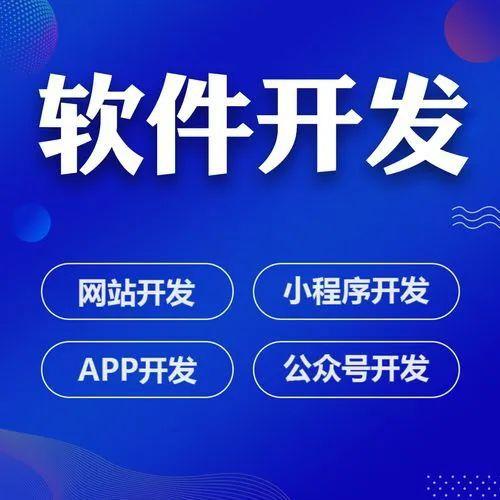软件开发服务}